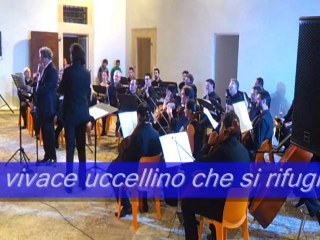 PIERINO ENZINO E IL LUPO MATERA 16-7-2014