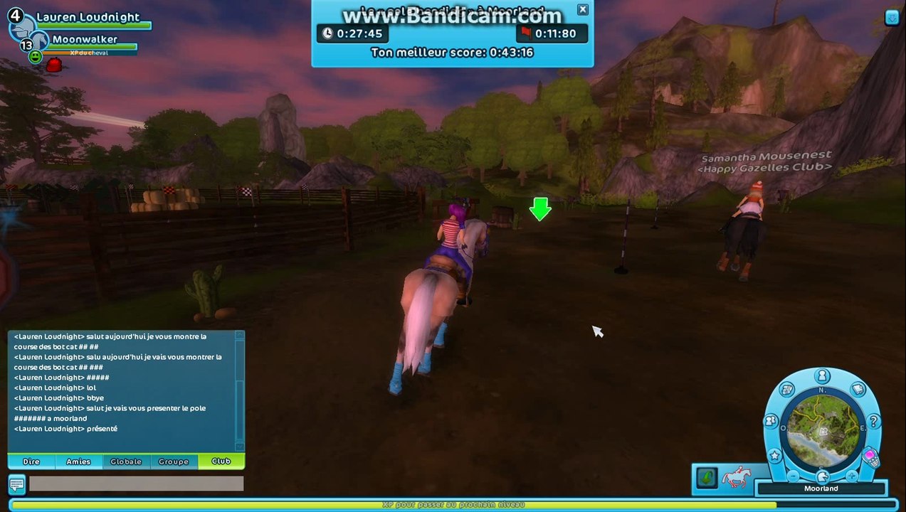 [SSO] pole bending a moorland