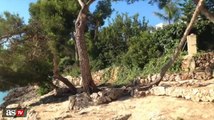 فيديو توني كروس في جزيرة مايوركا من أجل الإعلان عن تعاقده مع ريال مدريد