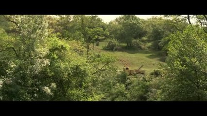 Dehşet Kasabası Film Fragmanı