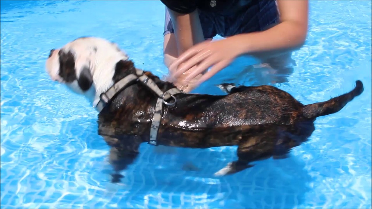 oxy a la piscine