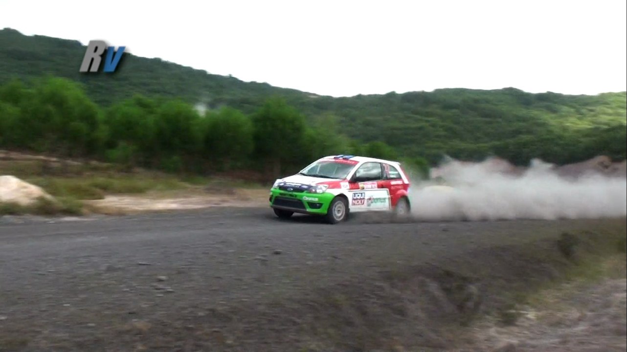 2014 Istanbul Rallisi / Burcu Burkut Erenkul - Efe Ersoy / Ford Fiesta ST
