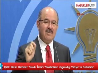 Çelik: Bizim Derdimiz Yılardır İsrail'i Yönetenlerin Uyguladığı Vahşet ve Katliamdır