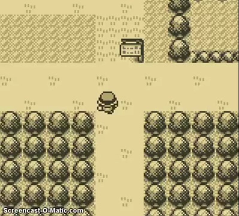 Pokemon_Red_3_Swampy_vs_Brock