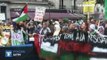 Tour du monde des manifestations anti-israéliennes