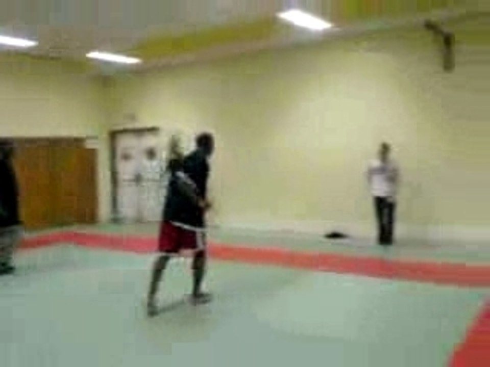 Acrobaties-1