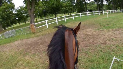 14-07-05 - Amateur Team - Cross Am3 Gopro