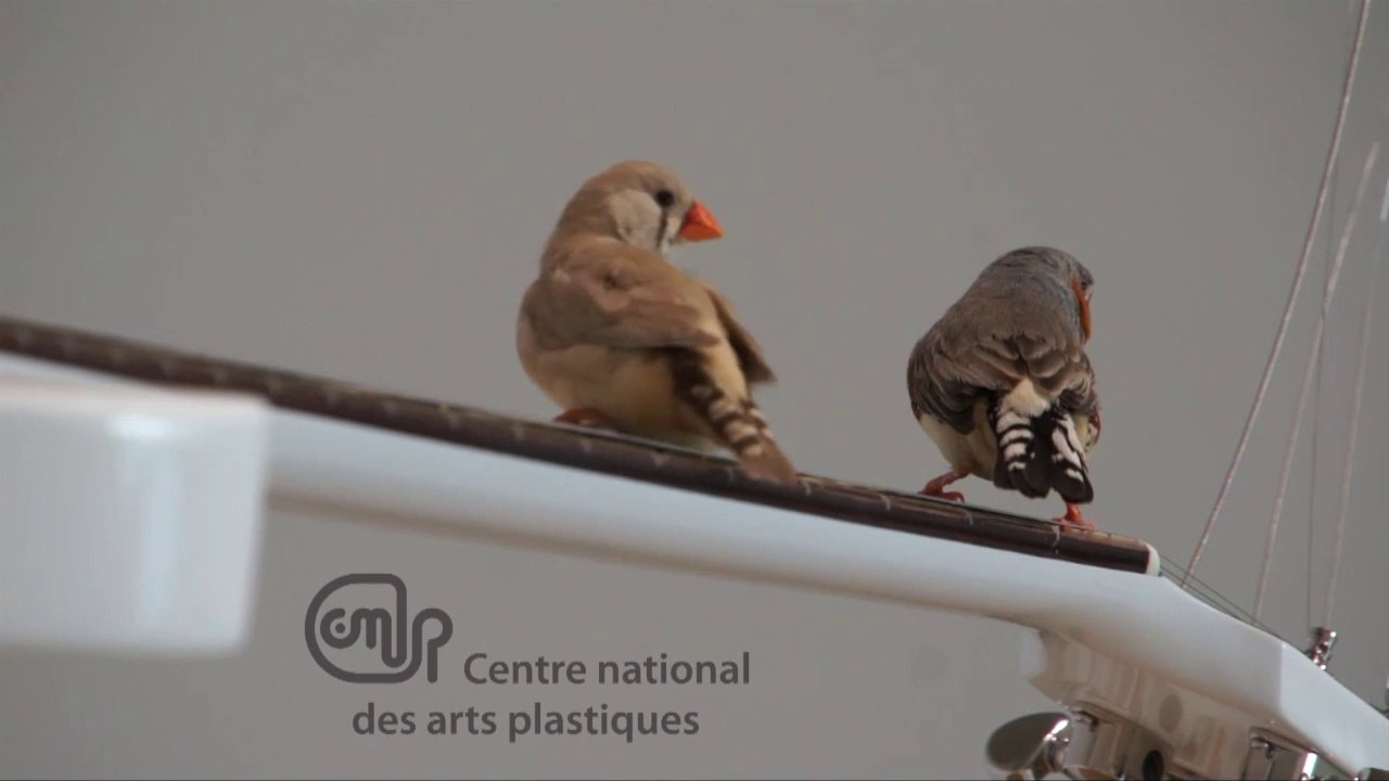 Exposition / Laisser les sons aller où ils vont, collection du Centre national des arts plastiques et du Frac Franche-Comté