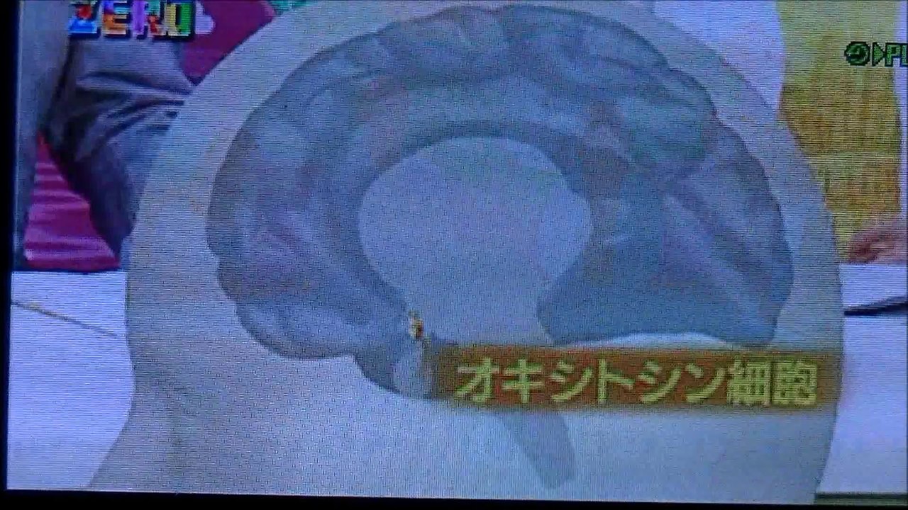 サイエンス・ゼロ　オキシトシン の持つ可能性　ＮＨＫ