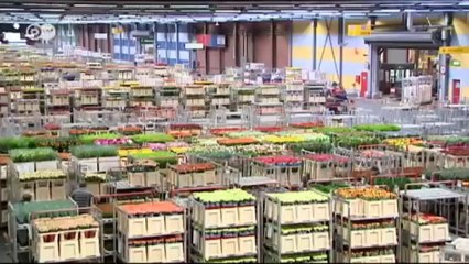 سوق الأزهار في امستردام | يوروماكس