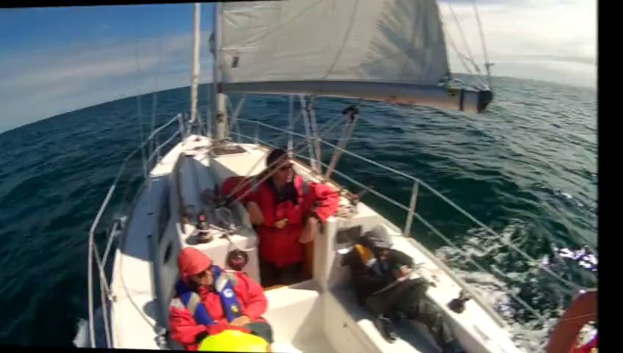 Guernsey1