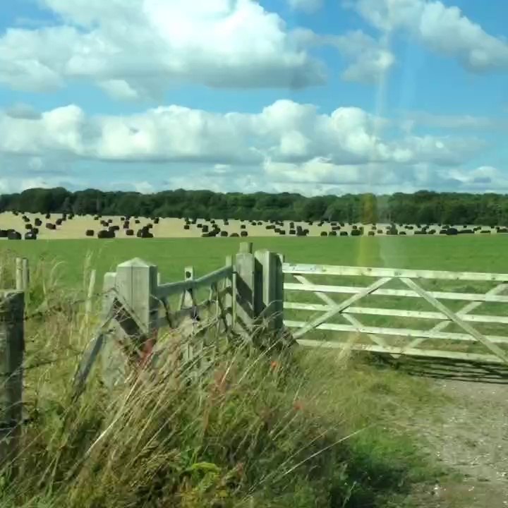 Stonehenge surrounding