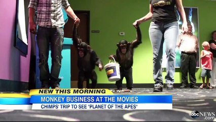 Chimpanzés assistem Planeta dos Macacos: O Confronto