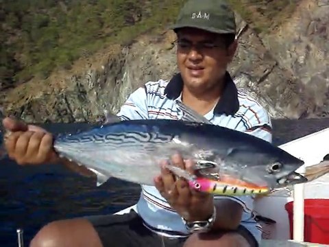 DIP SIRTISI ILE ORKINOS AVI - adrasanbalik.com