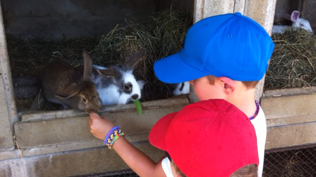 La ferme pédagogique
