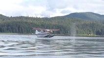 Pontoon plane about to land on a Whale... So so crazy!