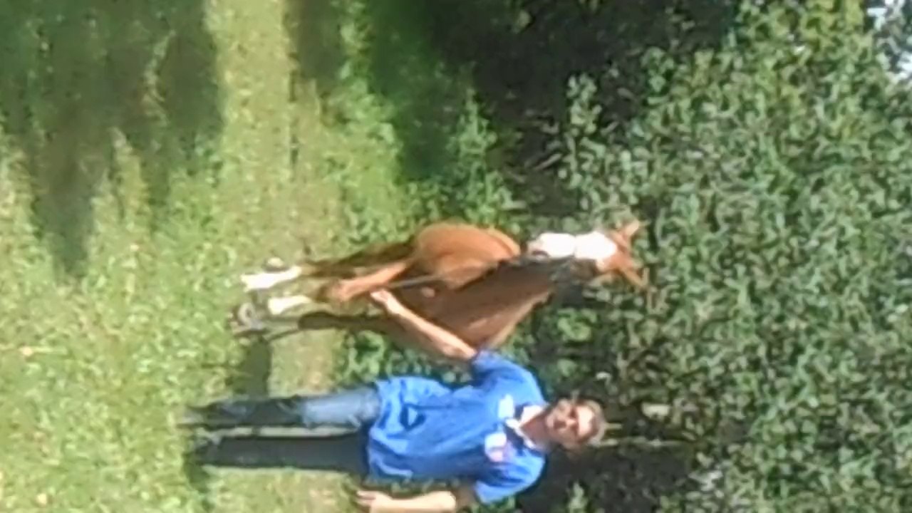 calamyty en main au pas