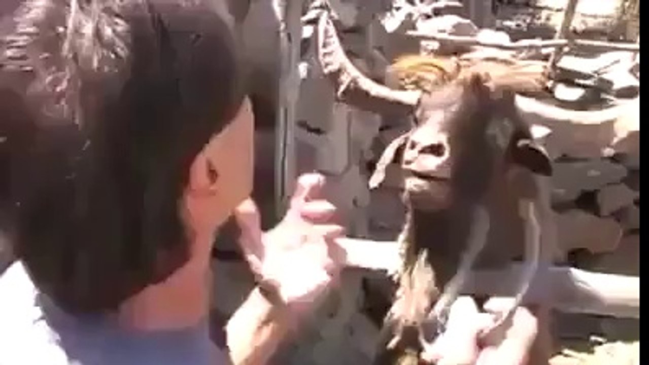 DEMÔNIOOOOOOOOOOOOOOOOOOOOOOO