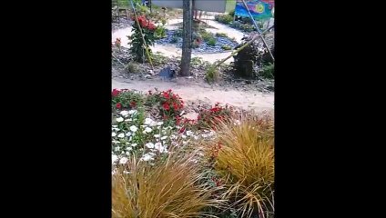 Les Jardins D'expressions en Slow Motion