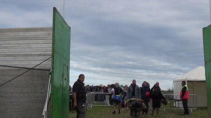 Glastonbury festival 2014 : l'ouverture des portes