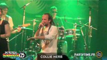 COLLIE HERB @ Reggae Contest Europe 2014