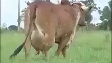 ویدیو جالبVery interesting video
