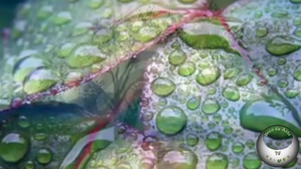 Depende de nós by Beco da Arte