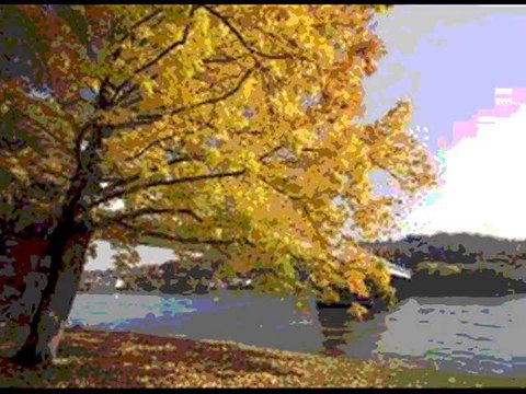 YILDIZ DEMİRKOL SAVAŞ-yıldızlıtürküler-GÖNÜL GEL SENİNLE MUHABBET EDELİM