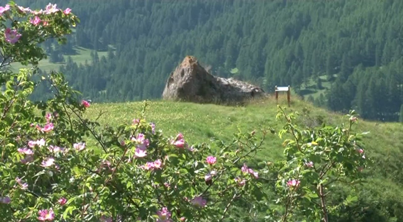 Alpes de Haute-Provence : à la découverte du sentier de mémoire Lieutenant Costa de Beauregard