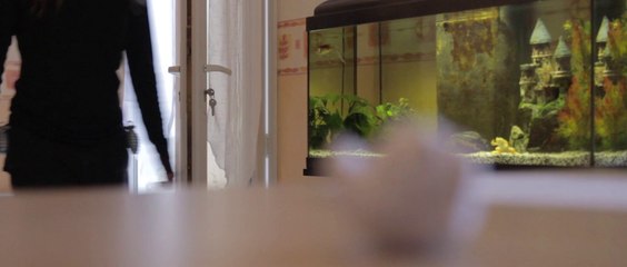 Pens of the Dead (Les stylos de la mort !)