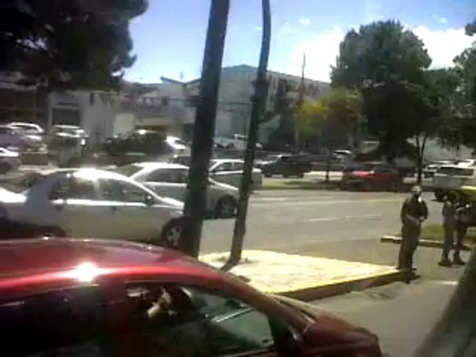 Paseando 2