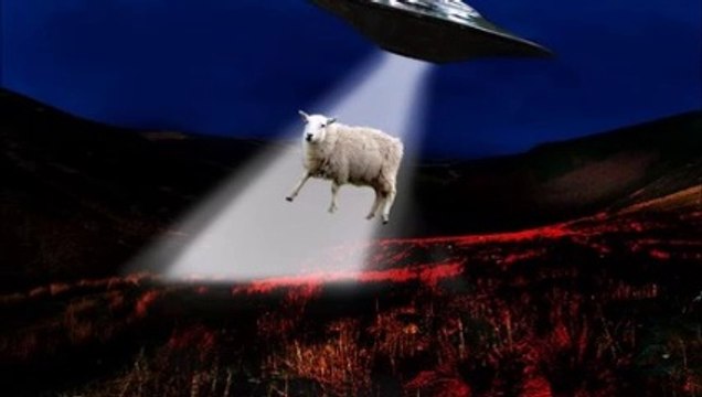 Abductions de bétails au Pays de Galles