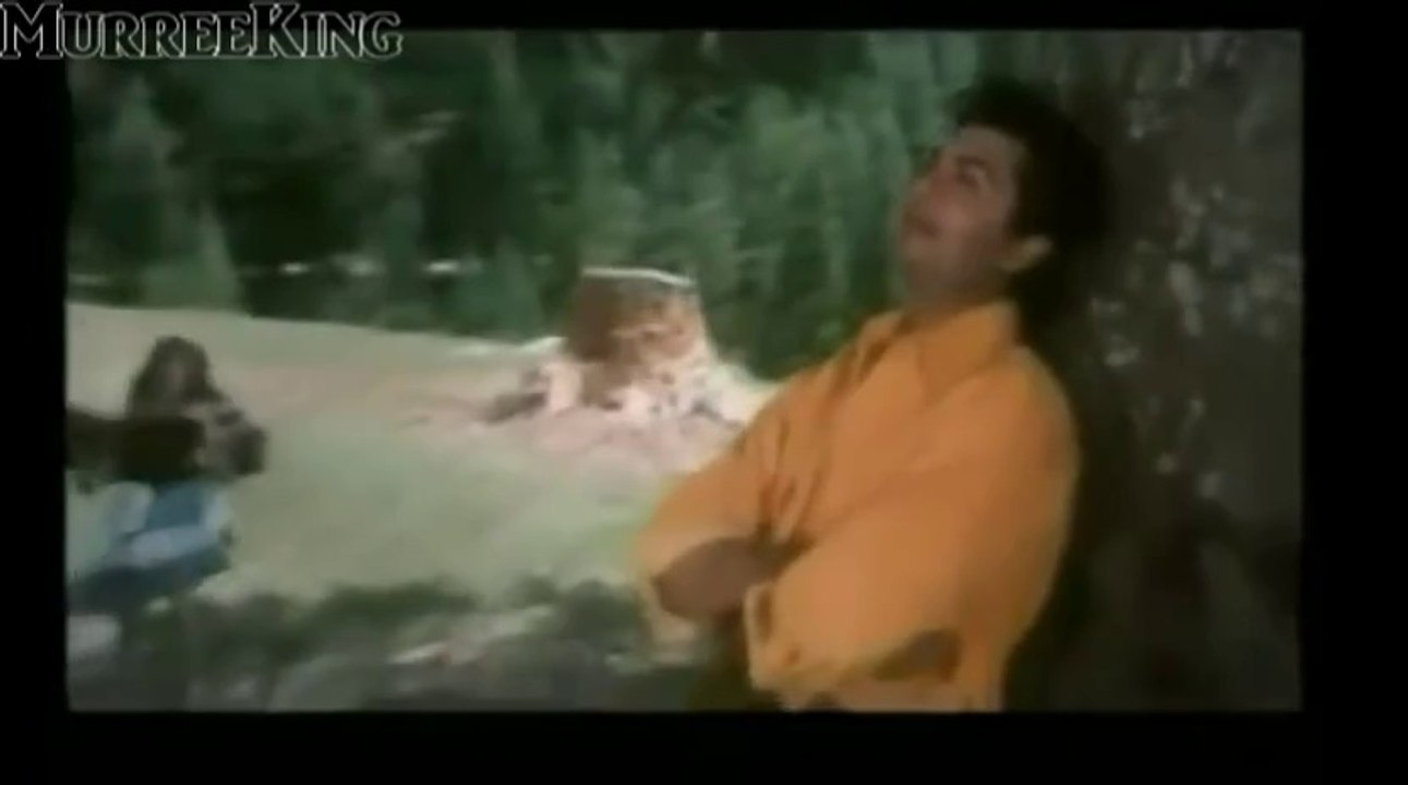 Maine Tujhe Dil Diya - Udit Narayan, Sarika - B...
