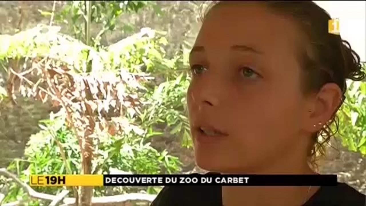 ZOO