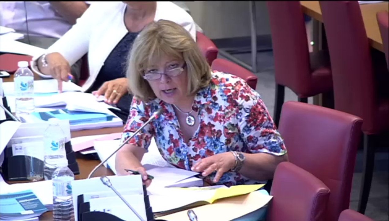 Adaptation de la société au vieillissement (projet de loi) - Mercredi 16 Juillet 2014