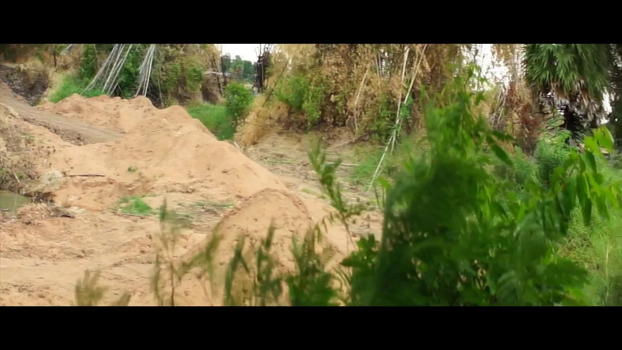 Test  Navitar 50mm,F0.95+Singer Anamorphic 16D
