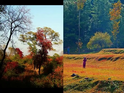 Mera Pakistan - Meri Jaan