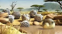Hayvanlar Obez Olsaydı Nolurdu Çok Eğlenceli Bir Animasyon