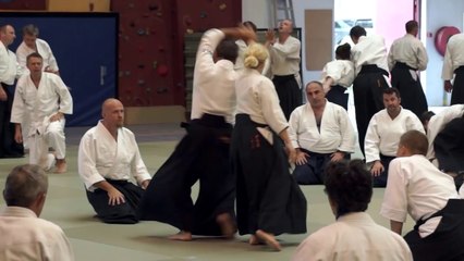 Aikido- Christian Tissier - Belgium 2013