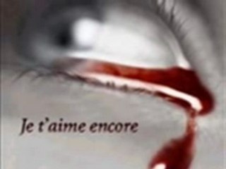 Je ne l'aime pas comme toi - Ma video