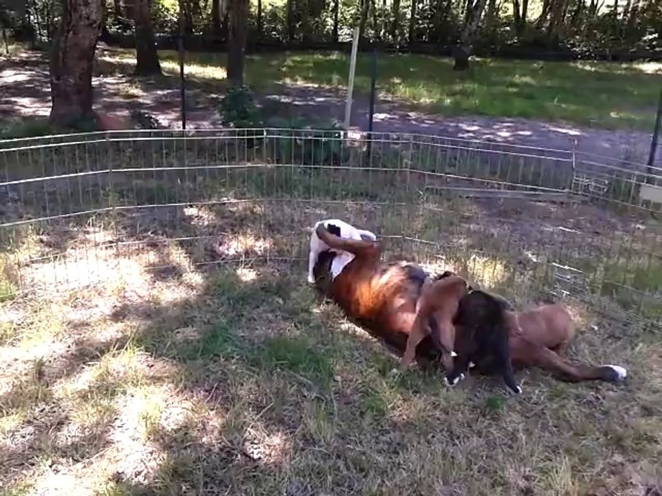 moment de jeu avec maman 5 semaines