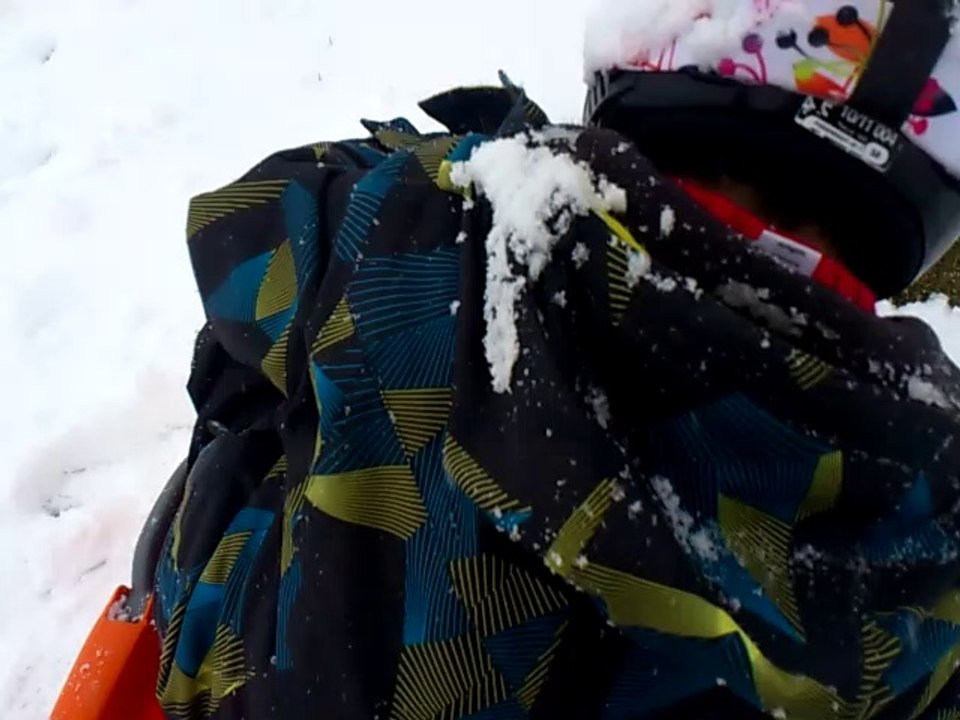 luge1