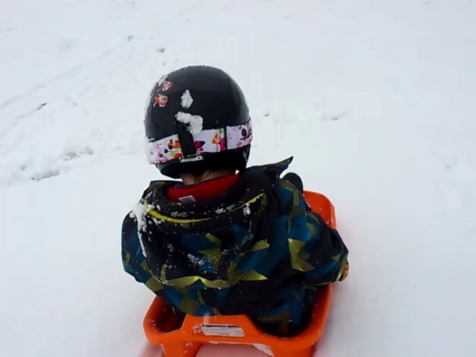 luge3