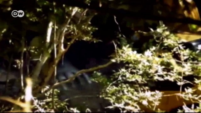 Romania: Rivers Run Dry | European Journal