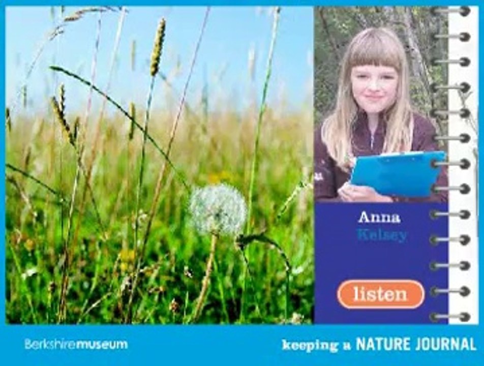 Nature Journal Game