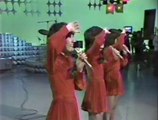 '70年代アイドル秘蔵名場面集