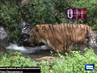 Dunya News - Dunya 100 Seconds: News from across the world in 100 seconds