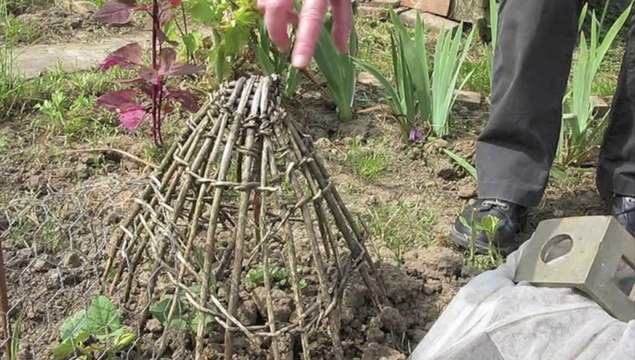 Jardinage : comment protéger son potager des oiseaux?