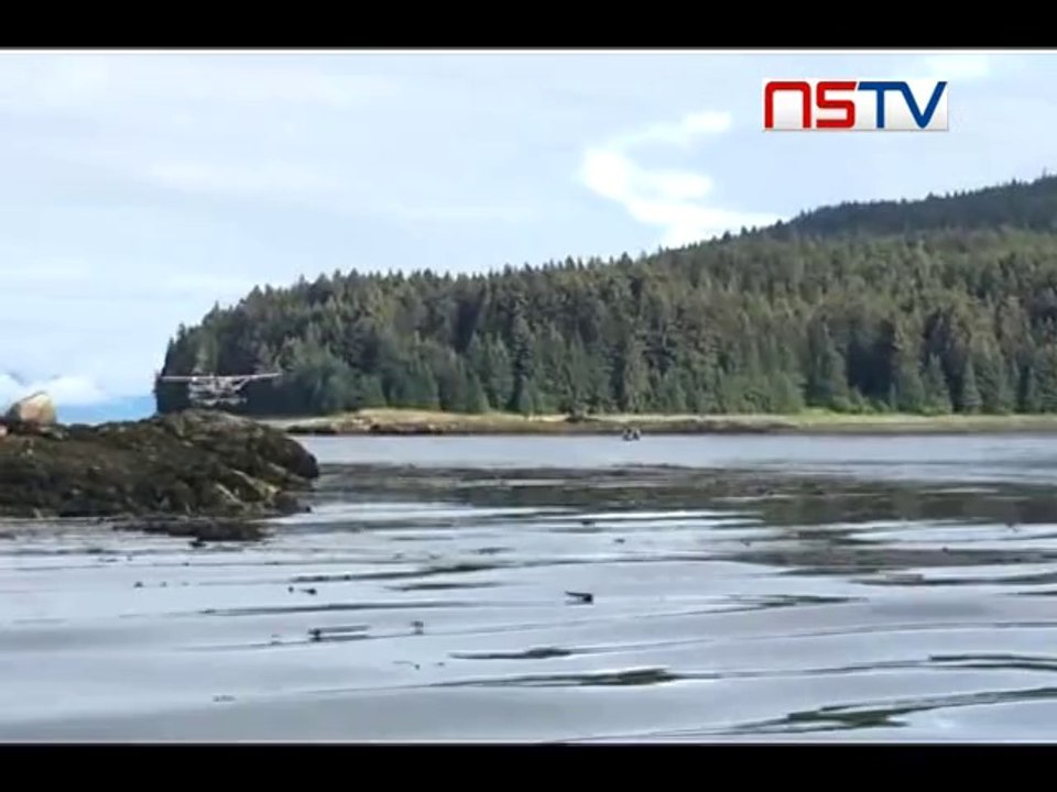 Caught on Cam- Sea plane lands almost on a whale