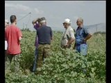Σε απόγνωση οι αγρότες στη Λιβαδειά για τις κλοπές των μετασχηματιστών της ΔΕΗ